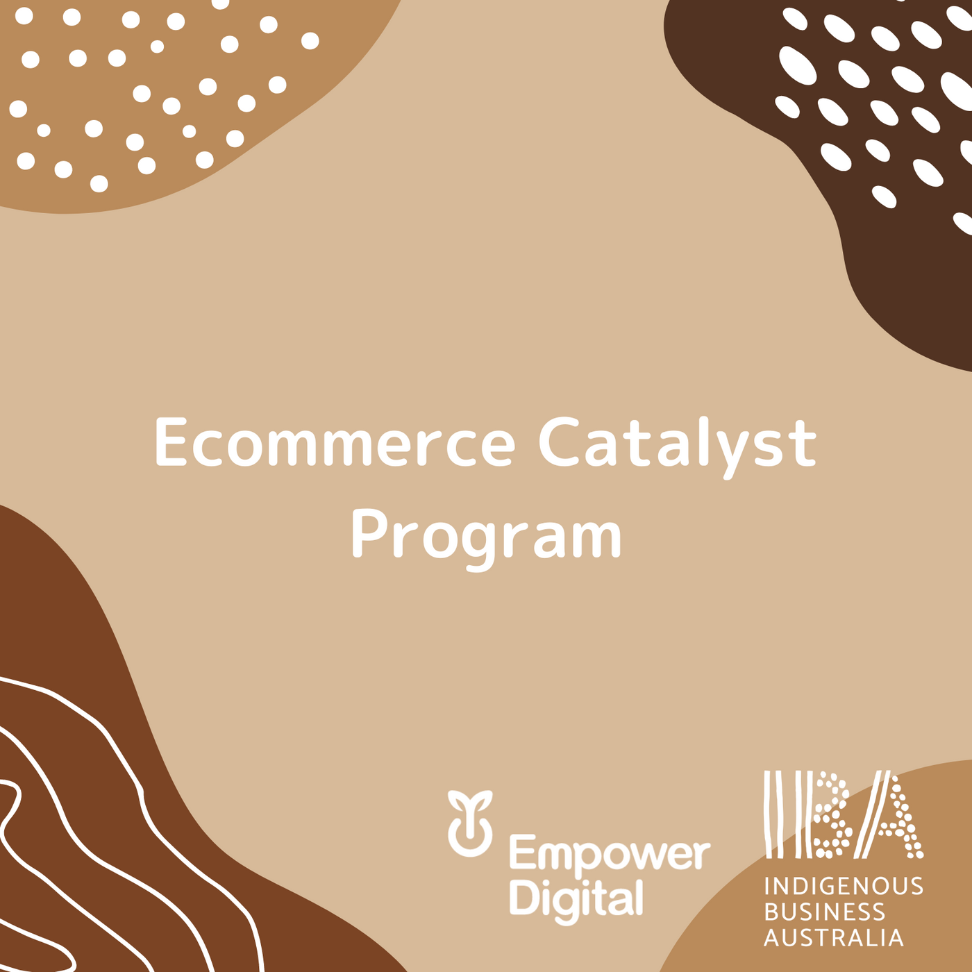 Ecommerce Catalyst Program